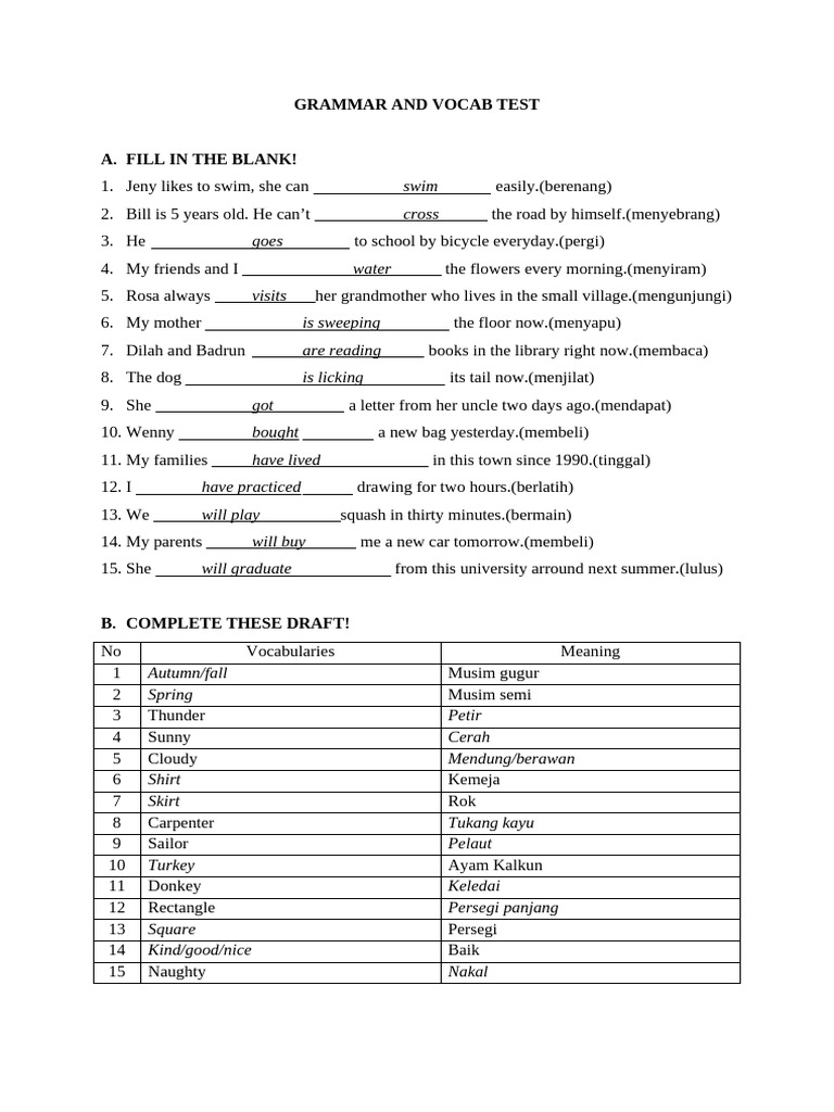 English Grammar and Vocabulary Test | PDF
