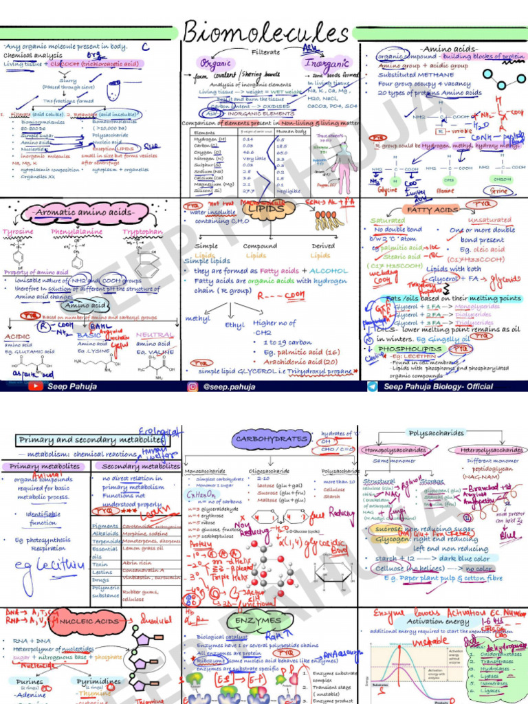 Seep Biomolec | PDF