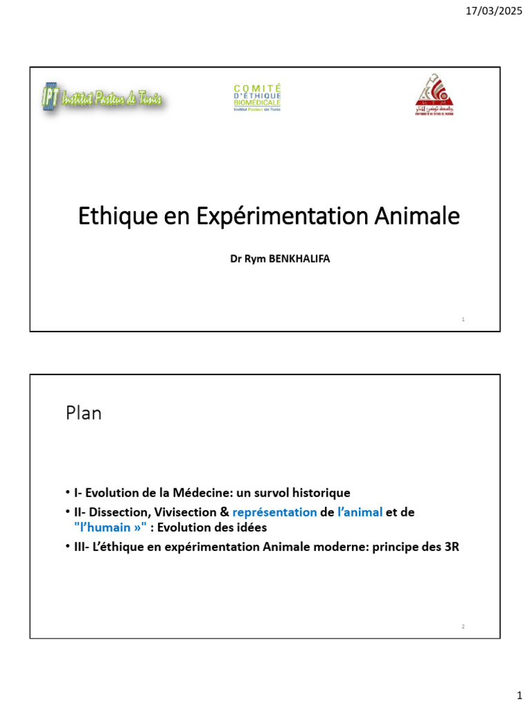 Oshhni – Tirelire Robot En Bois à Construire – Kit Scientifique DIY – Cadeau Éducatif 8-12 Ans