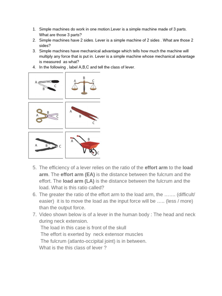 Understanding Levers in the Human Body | PDF
