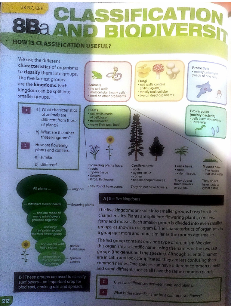 Bio - 8B Plants and Reproduction | PDF