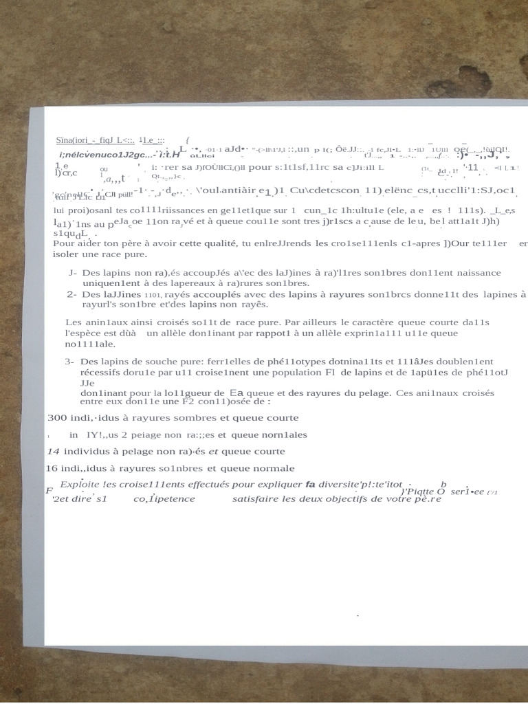 Génétique des lapins à rayures | PDF
