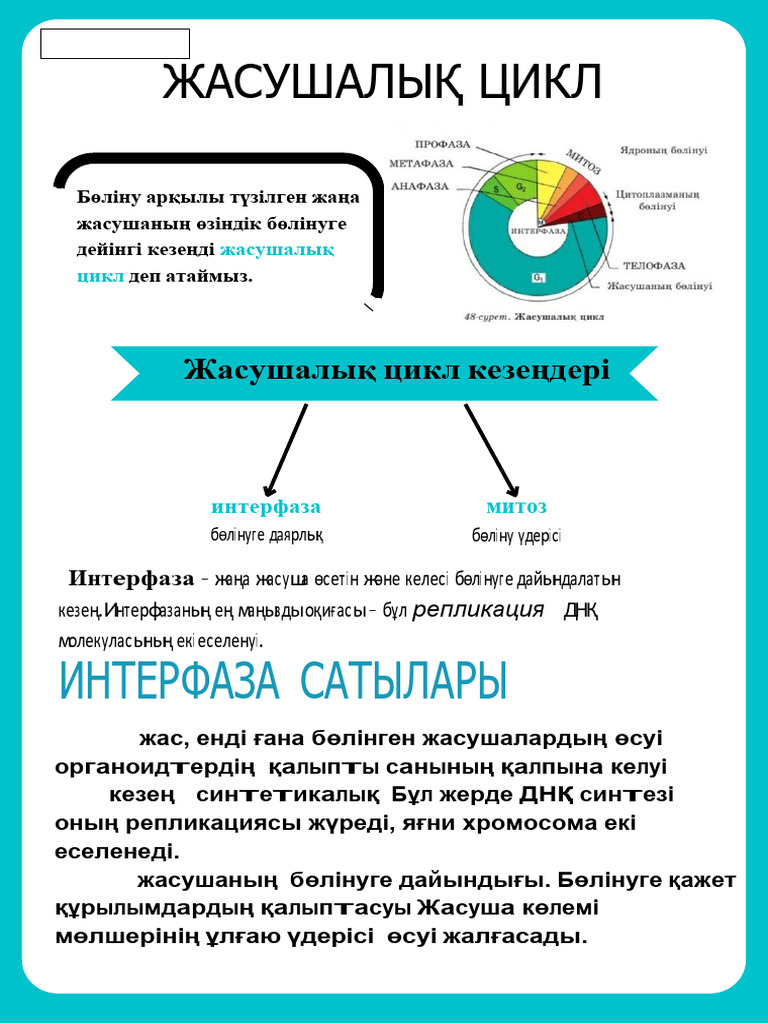 Порно сүйісу және емшек сору