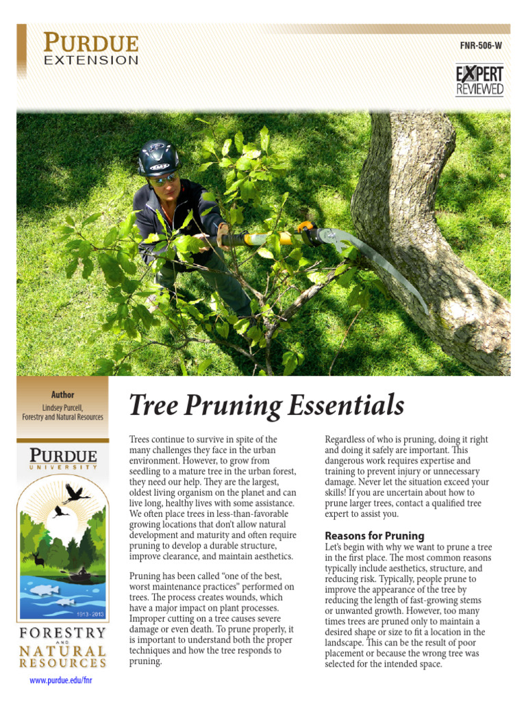 Essential Tree Pruning Techniques | PDF | Pruning | Trees