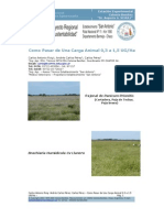 PDF Panicum Prionitis Bra Chi Aria Humidicola 06