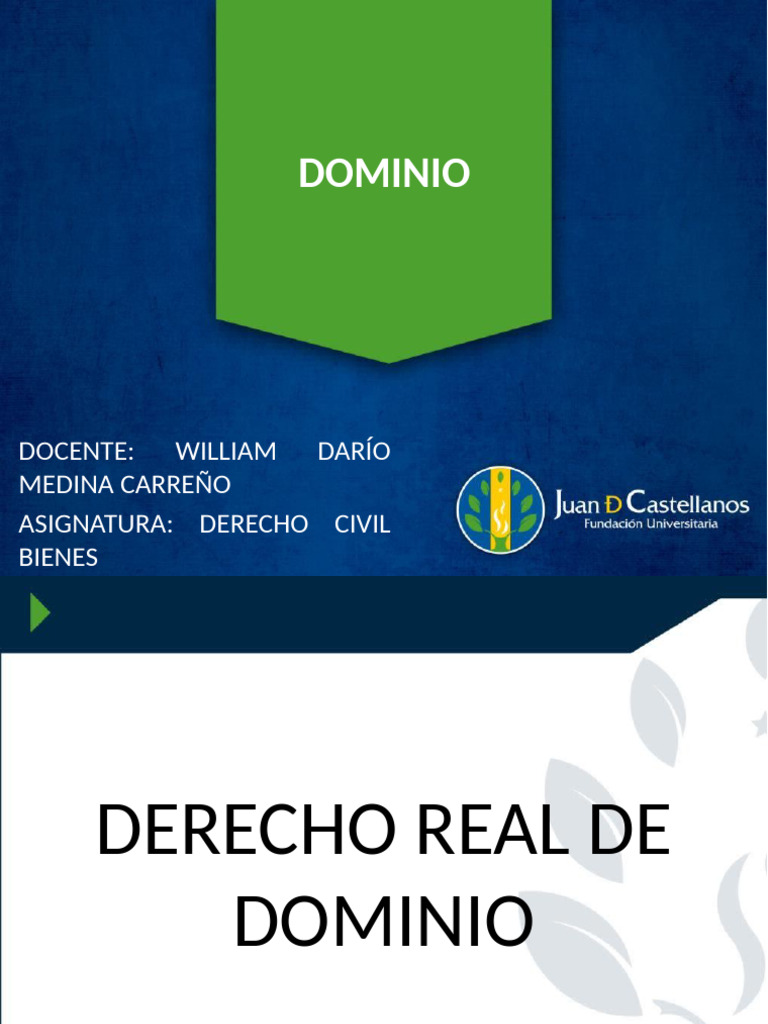 El Dominio | PDF | Propiedad | Patentar
