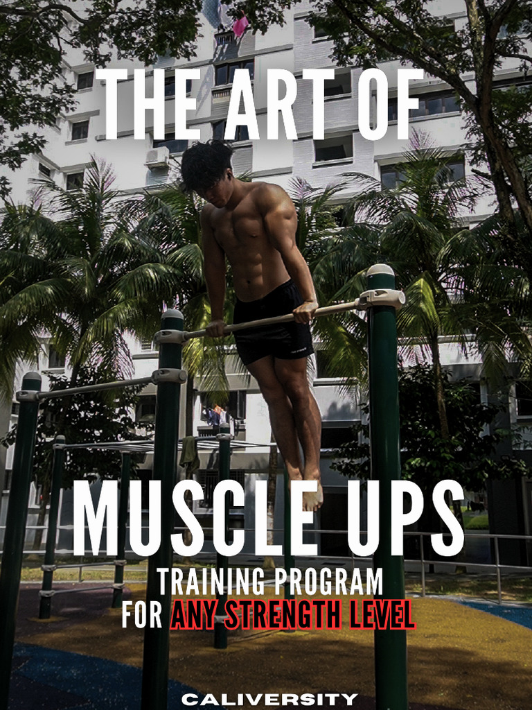 Muscle Up Training Program Guide | PDF | Skeletal Muscle | Physical ...