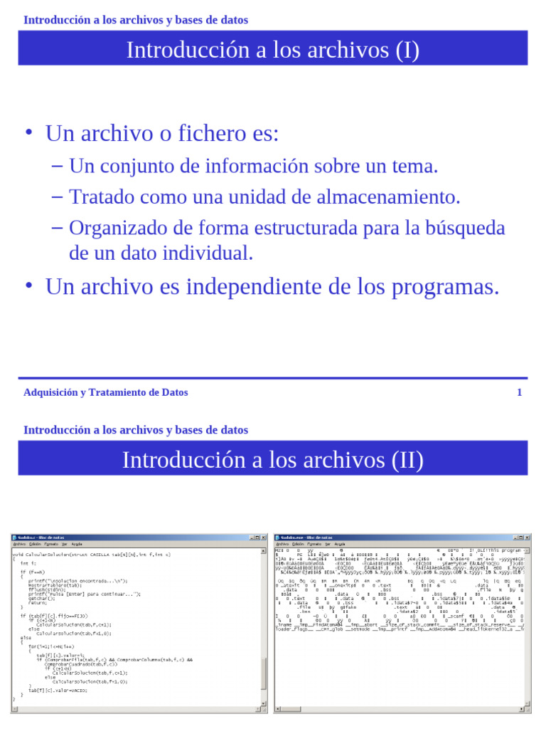 Introducción a Archivos y Bases de Datos | PDF | Archivo de computadora ...
