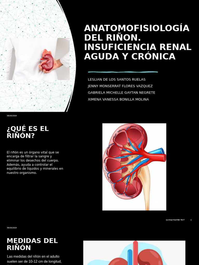 Síntomas y Anatomía del Riñón | PDF | Riñón | Diabetes