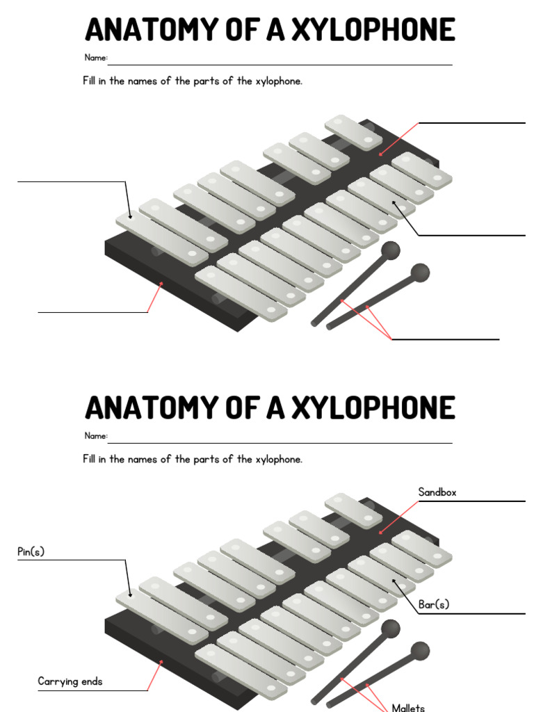 Xylophone Parts Identification Guide | PDF