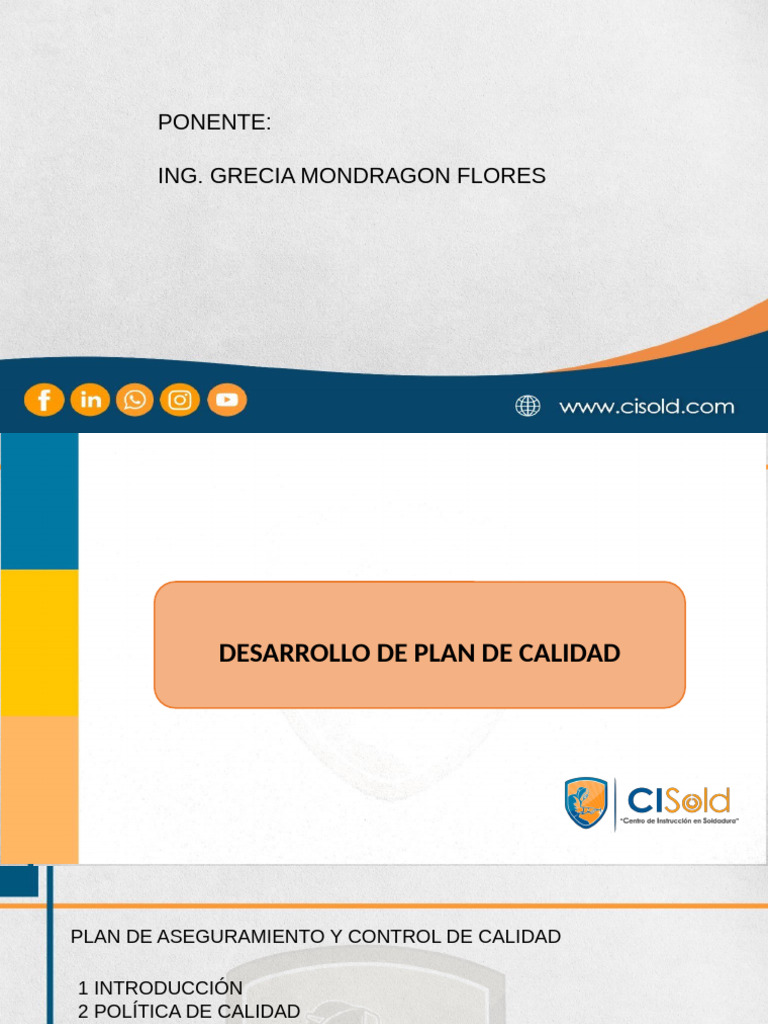 Plan de Calidad y Aseguramiento del Proyecto | PDF | Calidad (comercial ...