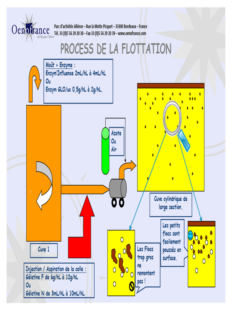 Flottation des Moûts : Processus et Produits | PDF