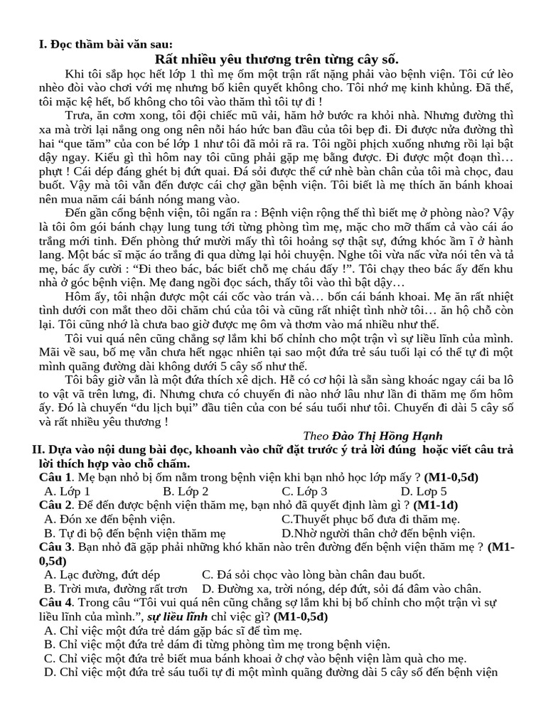 TIẾNG VIỆT GOM | PDF