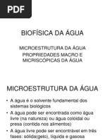 BIOFÍSICA DA ÁGUA 2009-01