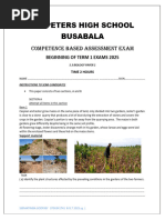 Uneb s4 Uce 2025 Biology Paper 1 With Answers | PDF | Leaf | Plant Stem