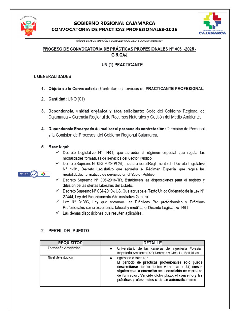 Convocatoria Prácticas Profesionales 2025 | PDF