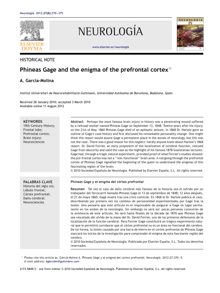 Phineas Gage and Prefrontal Cortex Insights | PDF | Frontal Lobe ...