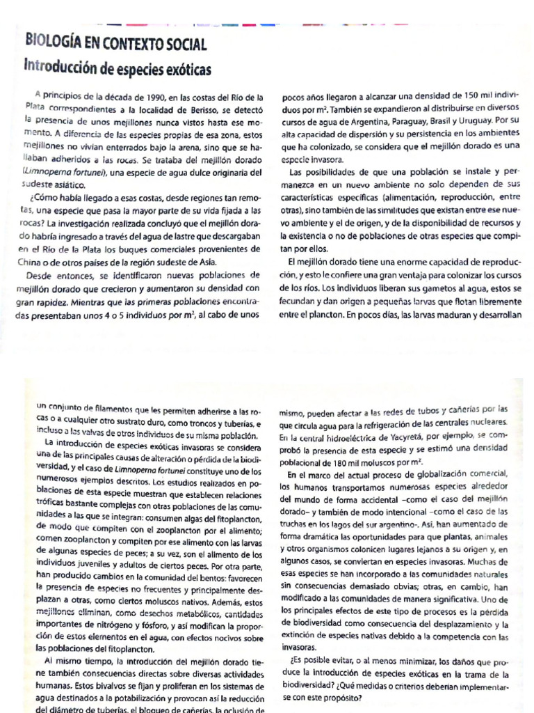 Documento 2 | PDF