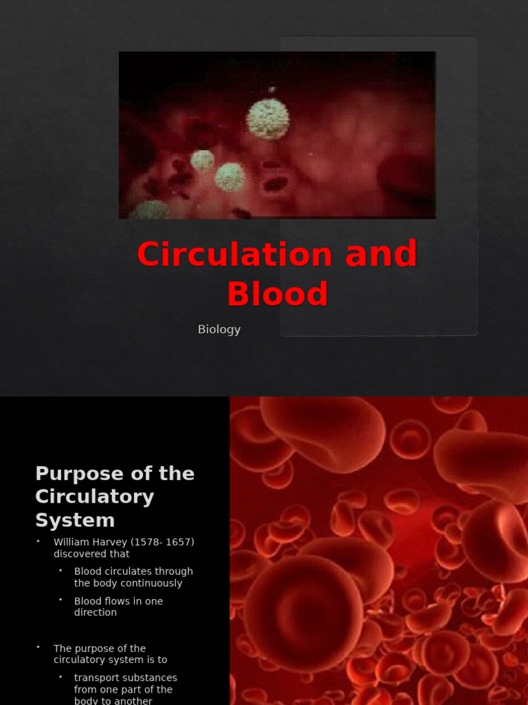 Blood and Circulation | PDF | Heart | Heart Valve