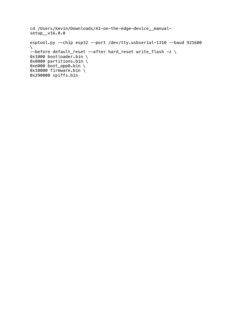 Flash | PDF