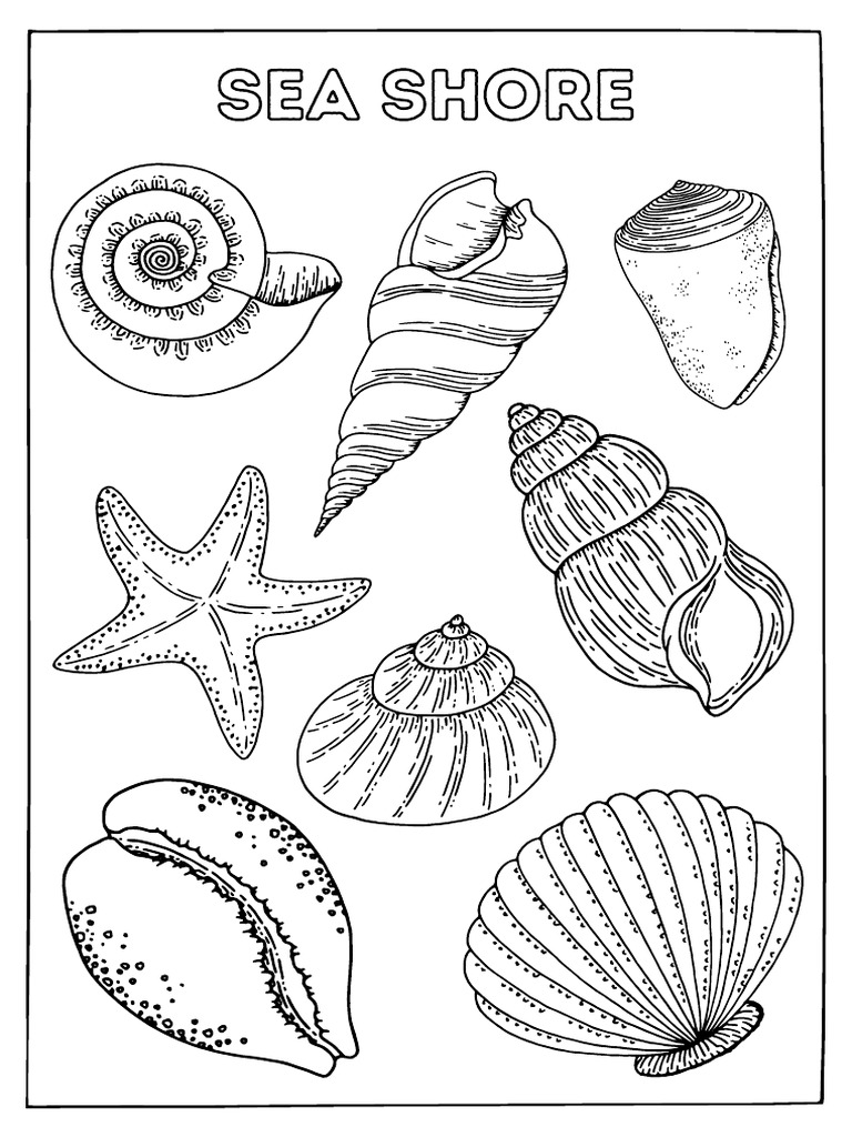 Sea Shore Mindful Colouring in Worksheet - 20250503 - 155139 - 0000 | PDF