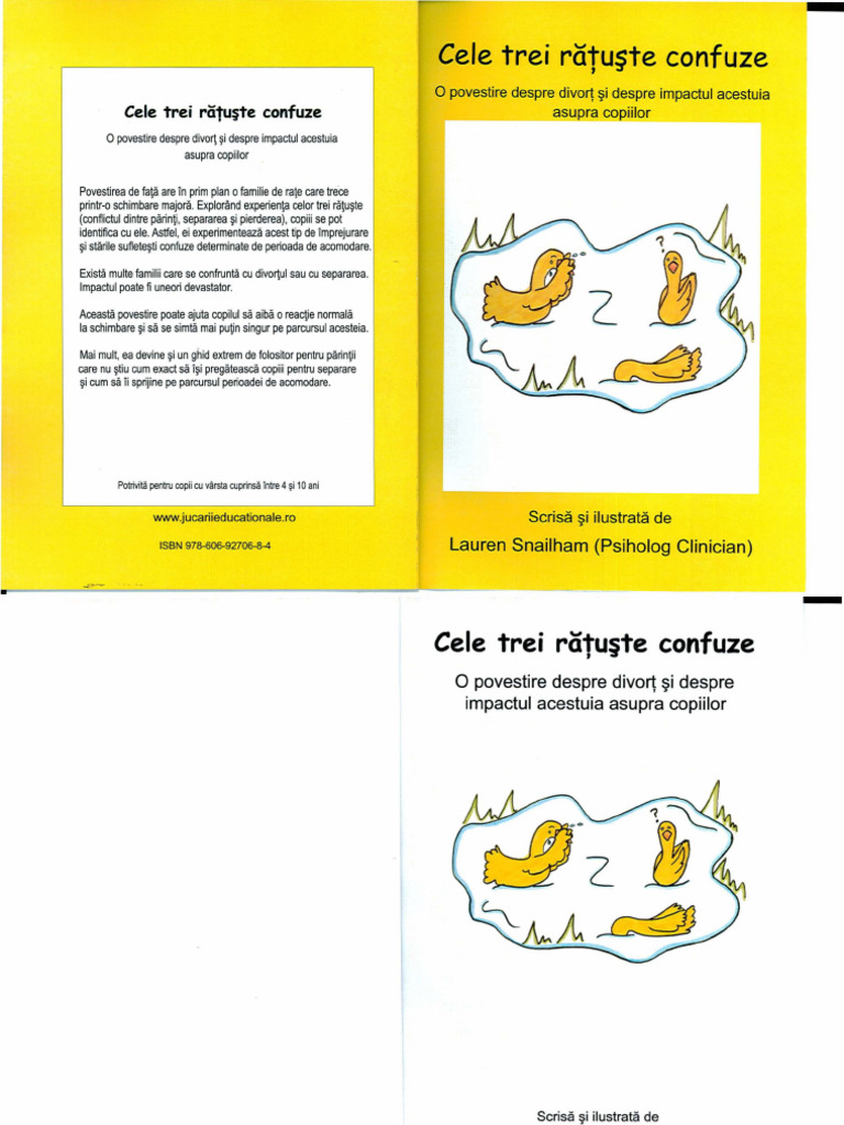 Cele 3 Ratuste Confuze | PDF