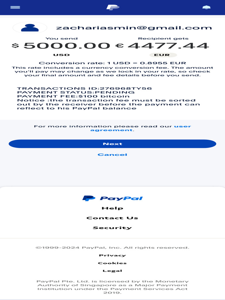 PayPal Make A Payment Preview 4 | PDF