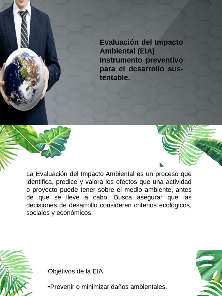 Evaluación de Impacto Ambiental EIA | PDF | Evaluación de impacto ...