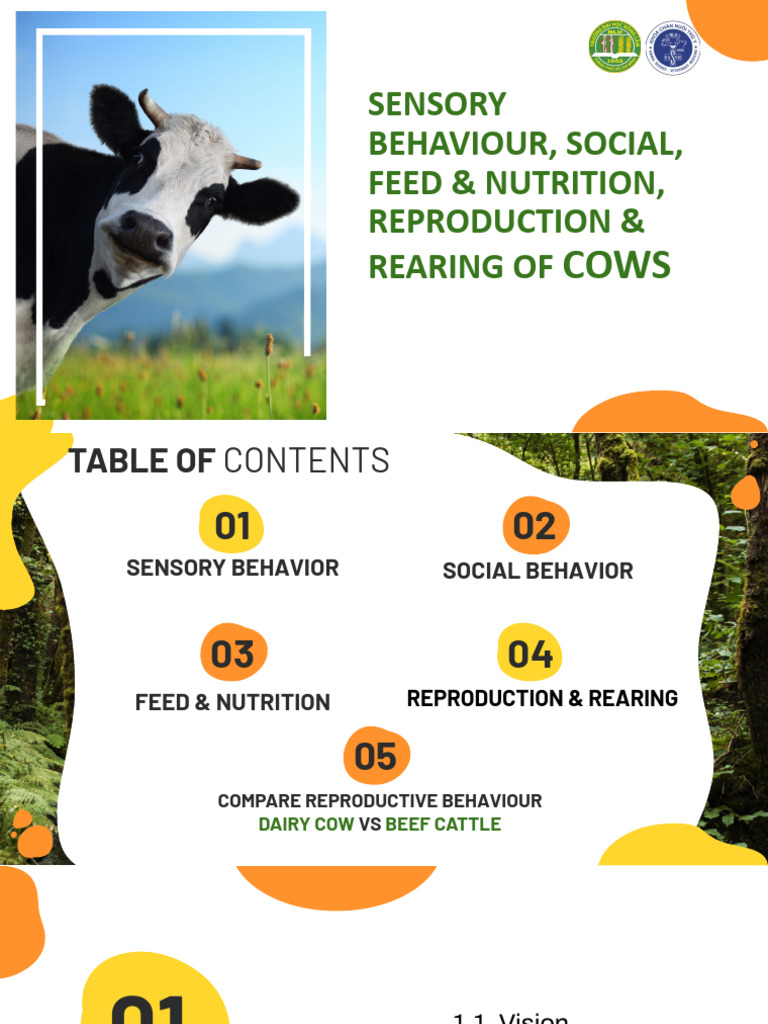 Cattle Behavior, Nutrition, and Rearing Guide | PDF | Fat | Cattle