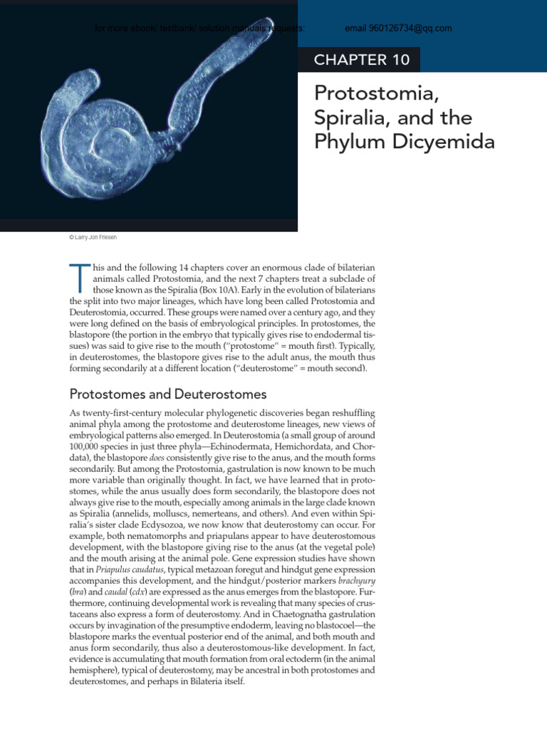Protostomia and Spiralia Overview | PDF | Embryo | Biology
