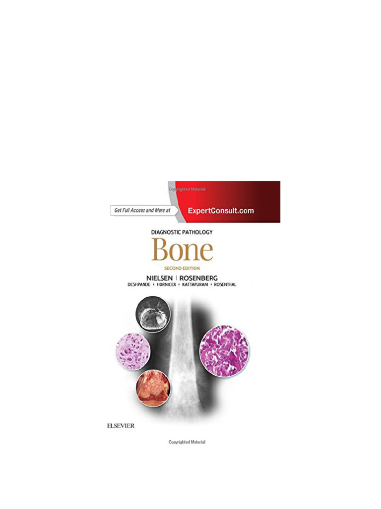 Bone 2nd Edition G. Petur Nielsen - Ebook PDF Download | PDF ...