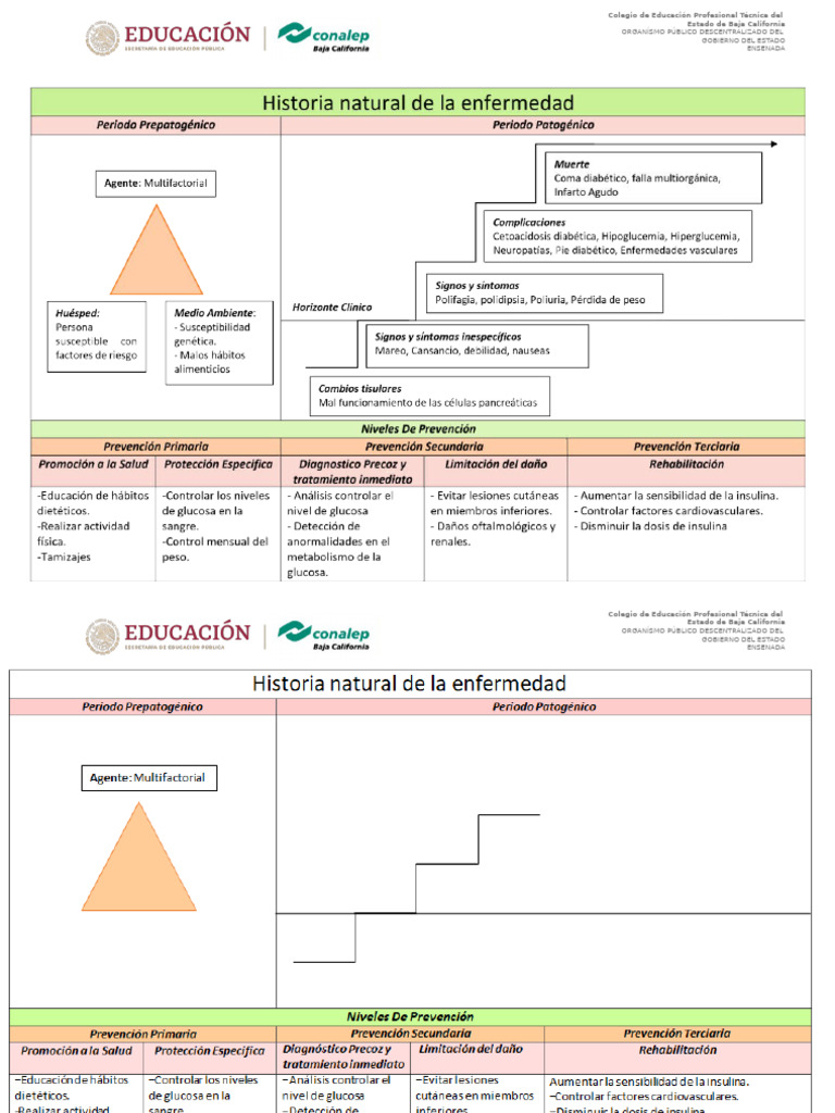 Historia Natural de La Enfermedad | PDF
