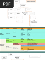 Primate Taxonomy and Classification Chart | PDF | Monkey | Ape