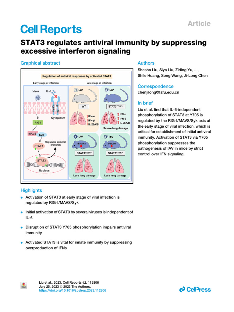 STAT3's Role in Antiviral Immunity | PDF | Interferon | Virus