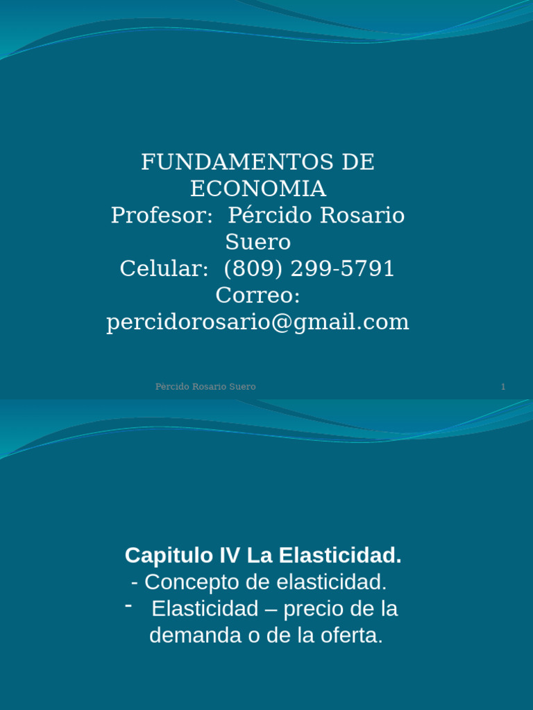 Capiulo IV | PDF | Elasticidad (economía) | Oferta y demanda
