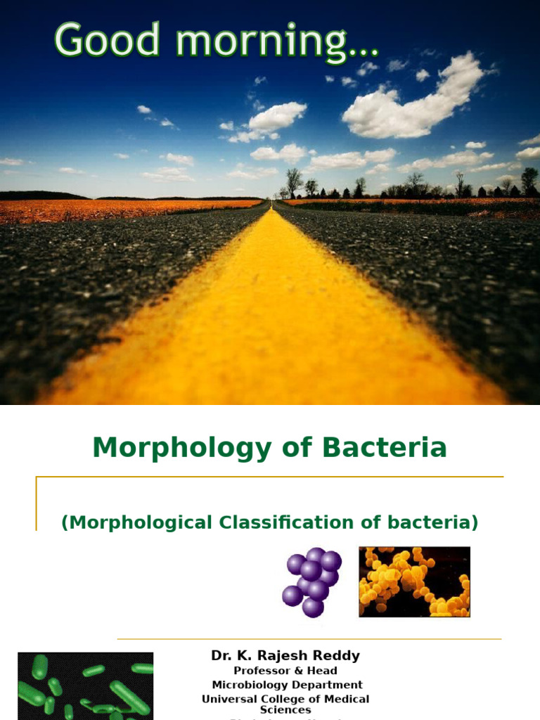 Bacterial Morphology and Classification | PDF | Bacteria | Biology