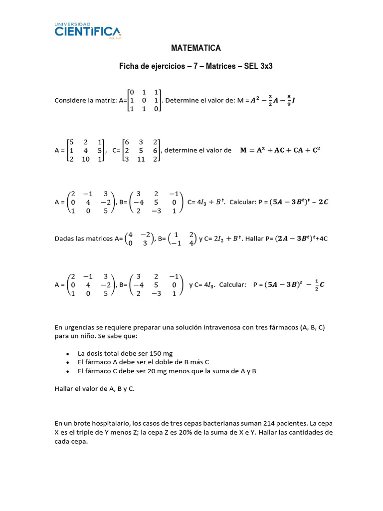 Ficha 7 | PDF