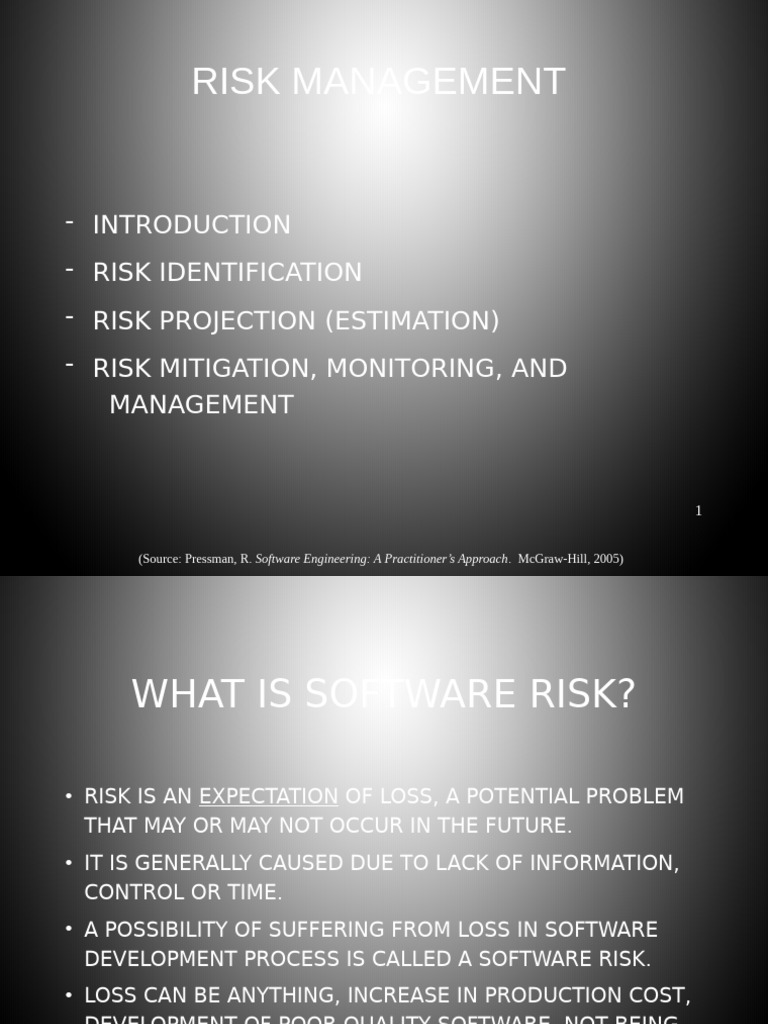 Software Risk Management Strategies | PDF | Risk | Risk Management