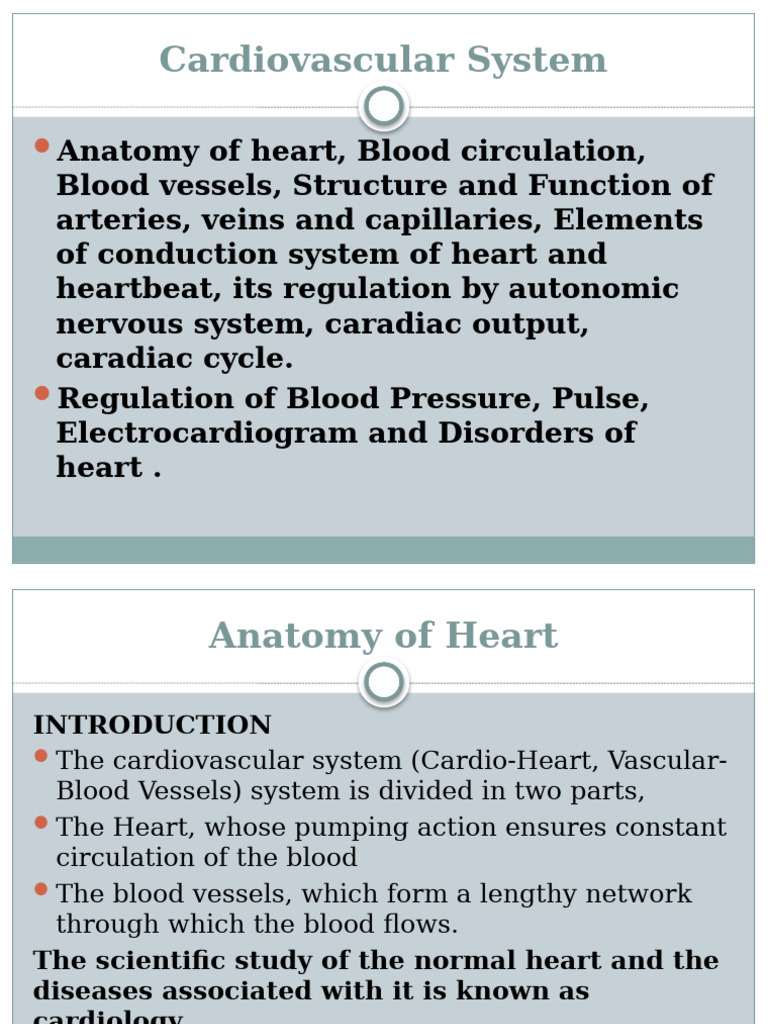 Cardiovascular System Overview and Anatomy | PDF | Heart Valve | Heart