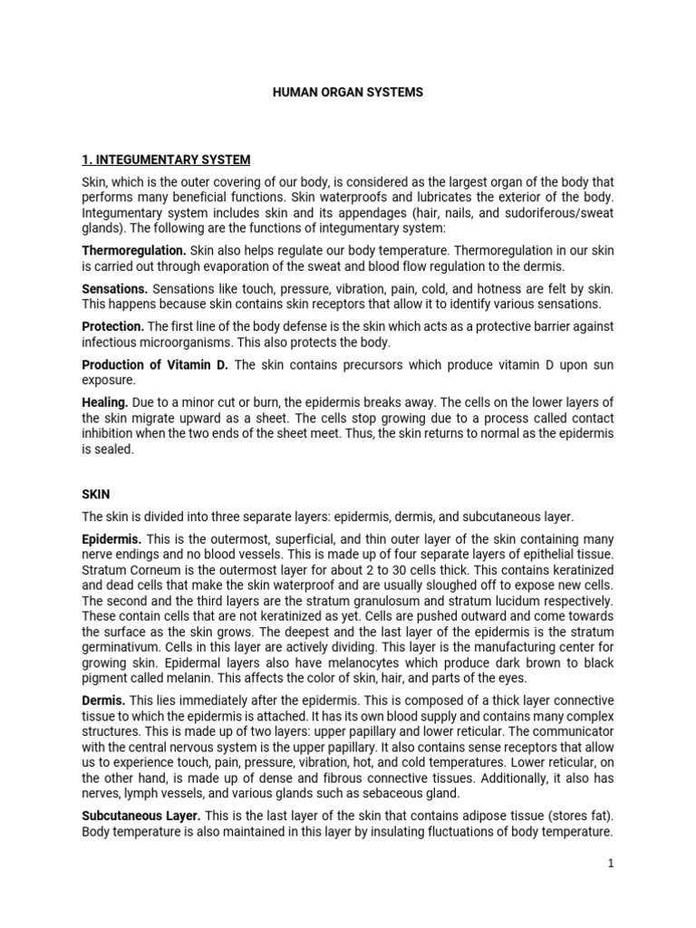 Human Organ Systems PDF | PDF | Lymphatic System | Skin