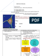 Pn Module - Nervous System