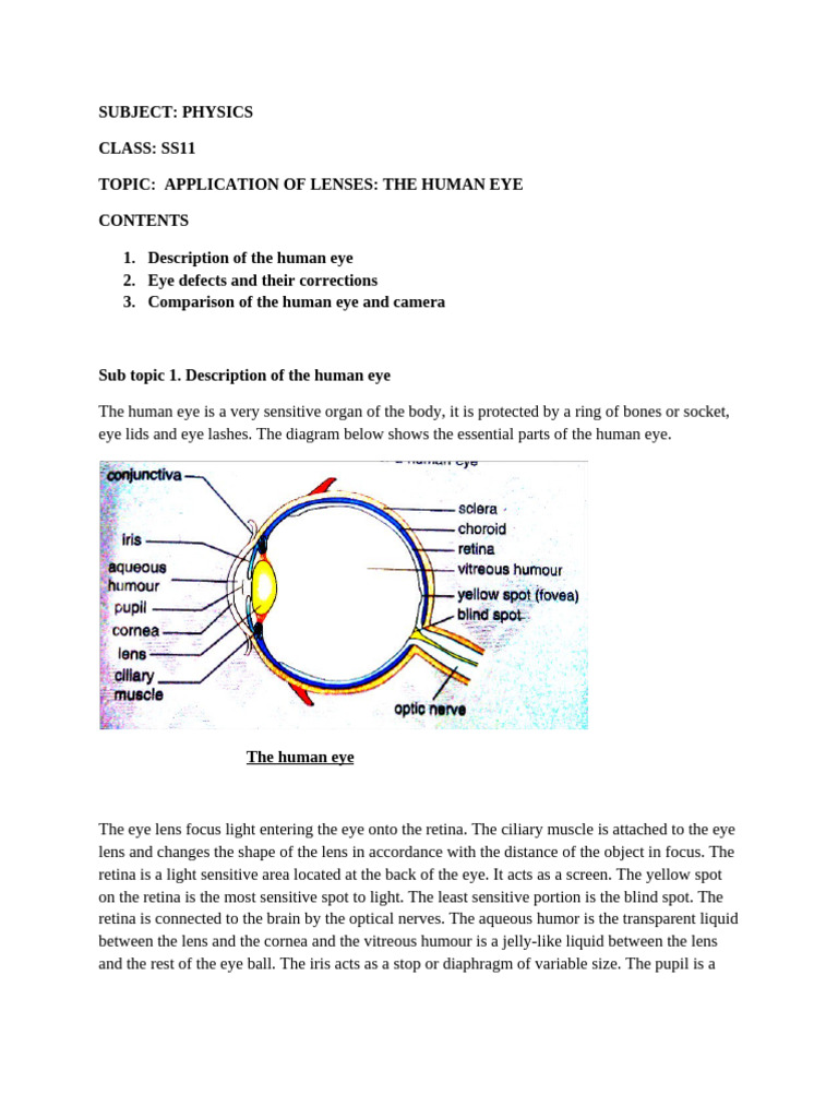 Optical Instruments | PDF | Eye | Human Eye