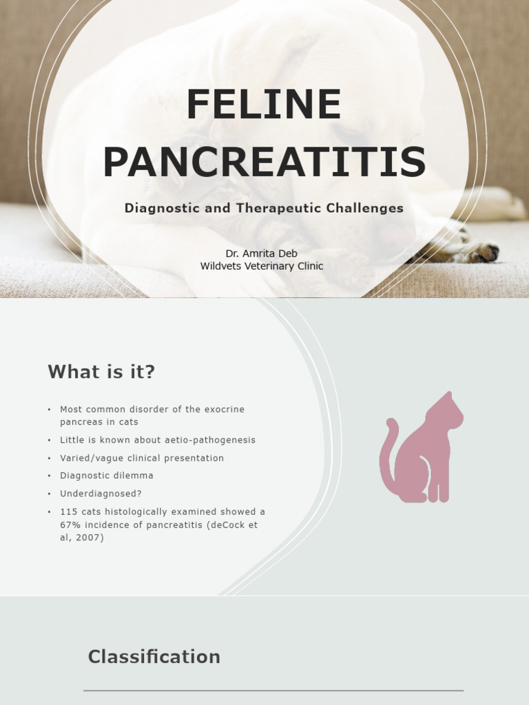 12-Feline Pancreatitis Diagnostic and Therapeutic Challenges | PDF ...