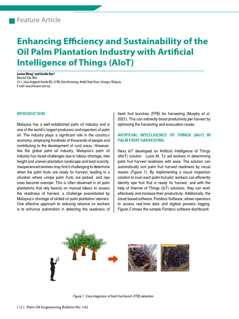 Enhancing Efficiency and Sustainability of Palm Oil Mills | PDF | Soil ...