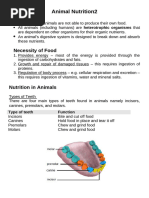 Grade 11 Animal Nutrition Overview | PDF | Digestion | Small Intestine