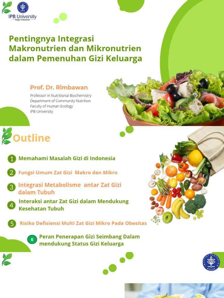 Integrasi Gizi Makro dan Mikro Keluarga | PDF