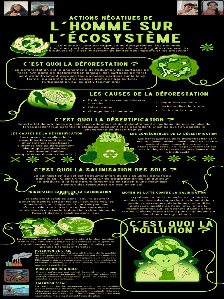 Causes de la déforestation et impacts | PDF | la pollution | Sol ...