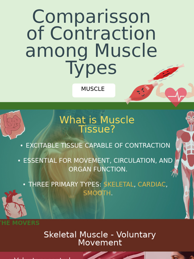 COMPARISON-OF-CONTRACTION-IN-MUSCLE | PDF