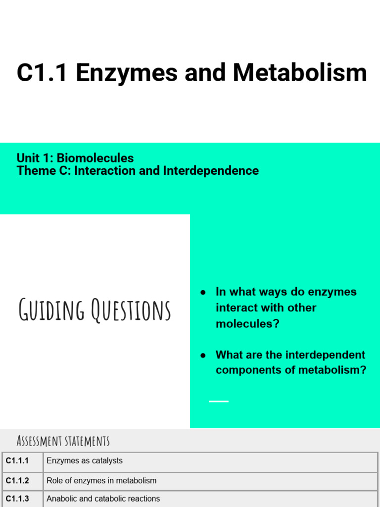 C1.1 Enzymes and Metabolism (2023) | PDF | Enzyme Inhibitor | Enzyme