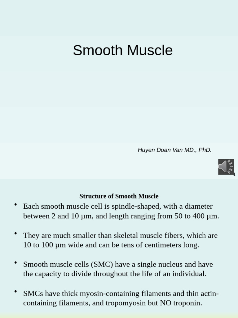 FILE - 20210516 - 004129 - Chapter 9.3 Smooth Muscle | PDF | Muscle ...